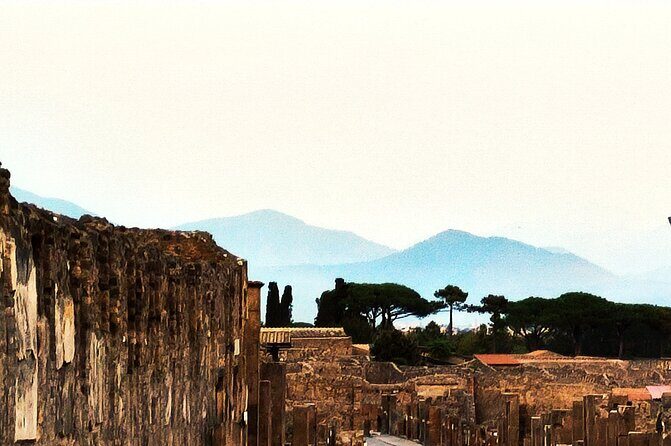 2 Hours Private Tour in Pompeii with Archaeologist - What This Pompeii Archaeologist Tour Gets You in 2 Hours