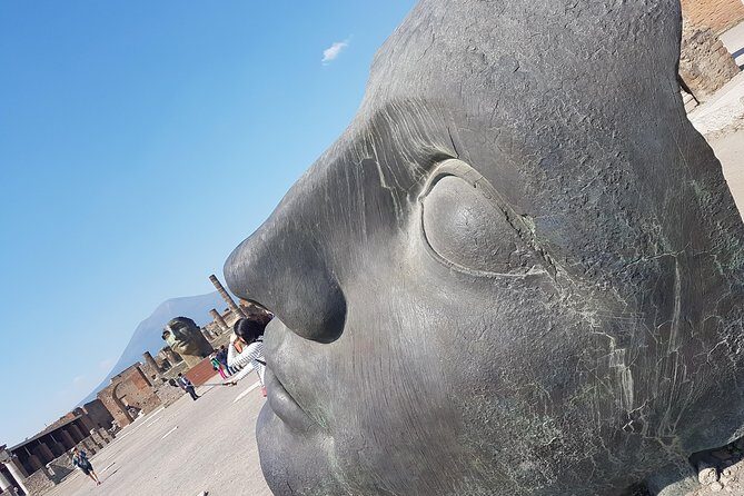 Amalfi Coast and Pompei from Rome: Enjoy a Private Full-Day Tour - Why the coastal driver matters more than you think