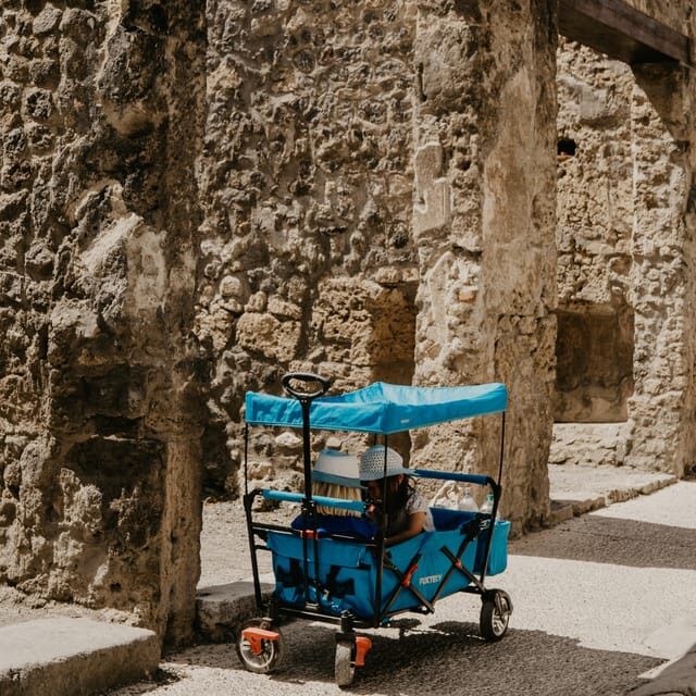 Discover Pompeii: French Walking Tour of the Buried City - What you actually get from a French walking guide (and why it’s worth it)