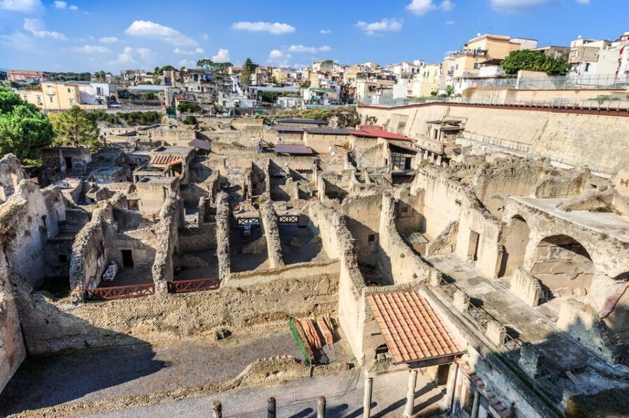 Ercolano: Herculaneum Entry Ticket with Optional Audio Guide - Who This Herculaneum Ticket Suits Best