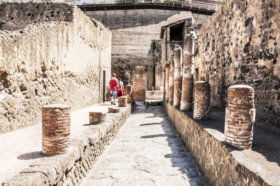 Ercolano: Herculaneum Entry Ticket with Optional Audio Guide - Your Self-Guided Walk Through Roman Streets and Intact Buildings