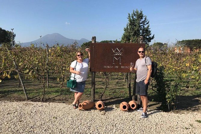 Explore Pompeii: Private Tour, Wine Tasting & Lunch - Who This Tour Fits Best (and Who Might Want a Different Plan)