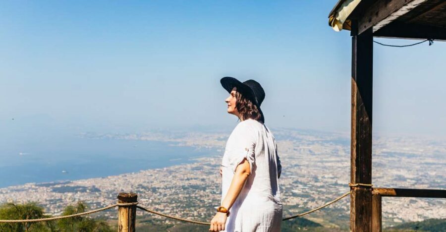 From Naples: All-Inclusive Mount Vesuvius Half-Day Tour - The National Park Start: Where the Walk Really Begins