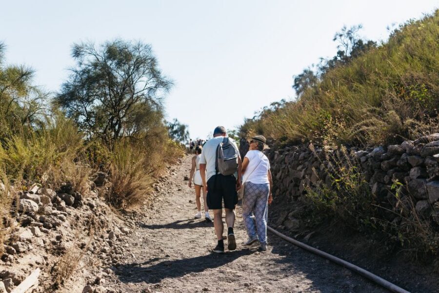 From Naples: All-Inclusive Mount Vesuvius Half-Day Tour - Crater Rim Time: Your Window for the Best Views