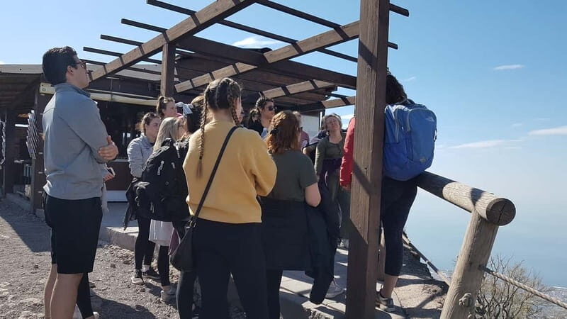 From Naples: Day Trip to Mount Vesuvius - Why This Half-Day Vesuvius Trip Makes Sense From Naples