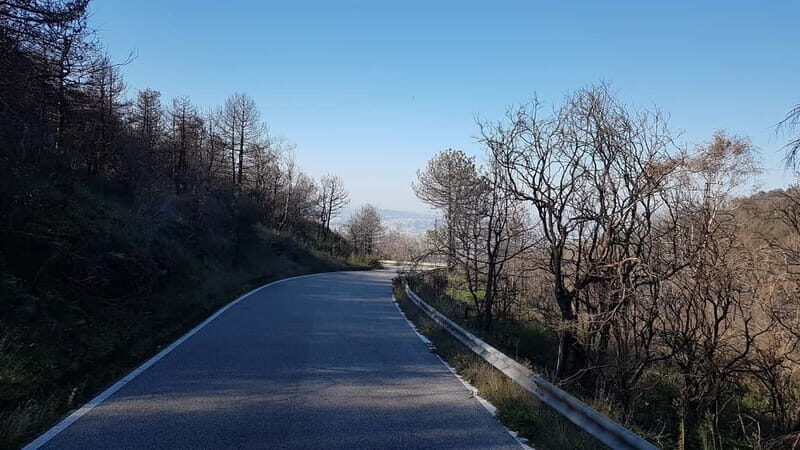 From Naples: Day Trip to Mount Vesuvius - Free Time at the Summit: Photos, Steam, and Getting Your Own Pace