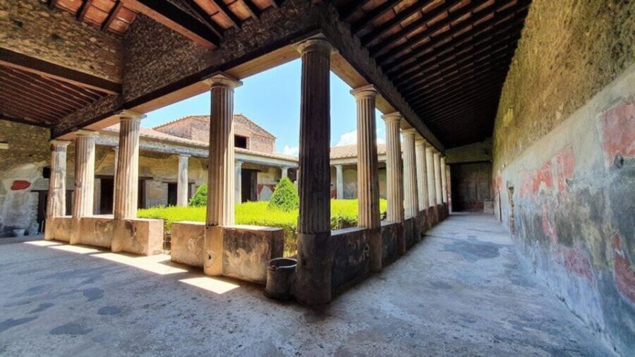 From Naples: Herculaneum, Mount Vesuvius & Pompeii Day Trip - Onboard Host vs Site Guides: Getting the Right Level of Help