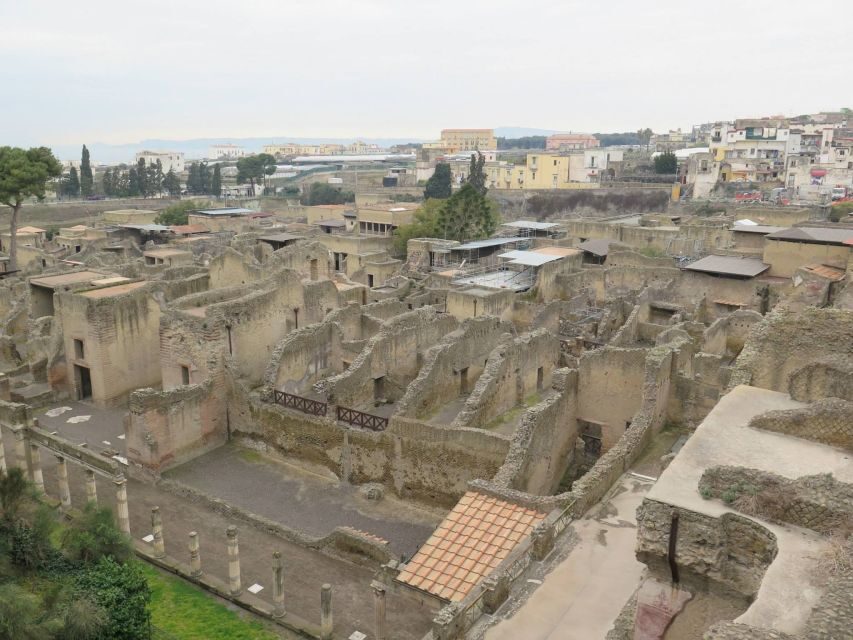 From Naples: Herculaneum, Mount Vesuvius & Pompeii Day Trip - Price and Value: What $135.94 Gets You (and What It Doesn’t)