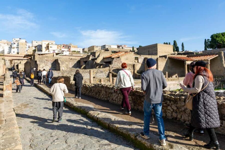 From Naples: Herculaneum Skip-the-Line Guided Tour - Why Herculaneum feels different from Pompeii