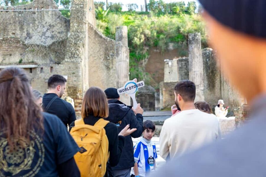 From Naples: Herculaneum Skip-the-Line Guided Tour - Skip-the-line entry: the value of fewer wasted minutes