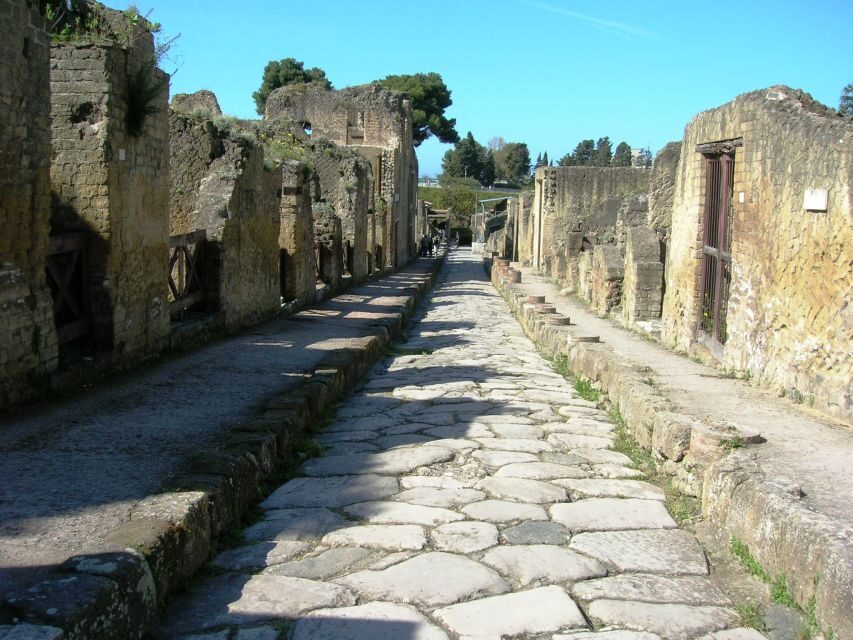From Naples: Herculaneum Skip-the-Line Guided Tour - The 1.5-hour Herculaneum walk: houses, baths, and the eruption story