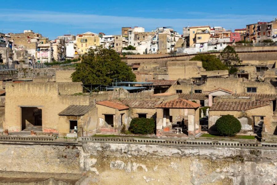 From Naples: Herculaneum Skip-the-Line Guided Tour - Naples pickup that actually saves effort (Port and hotel options)