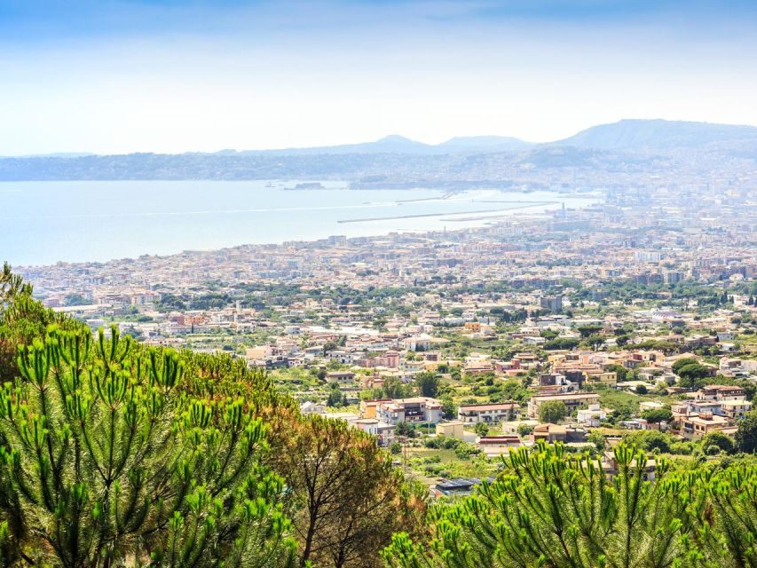 From Naples: Mount Vesuvius Transfer with Entry Tickets - The Ride Up: What the 40-Minute Drive Actually Changes