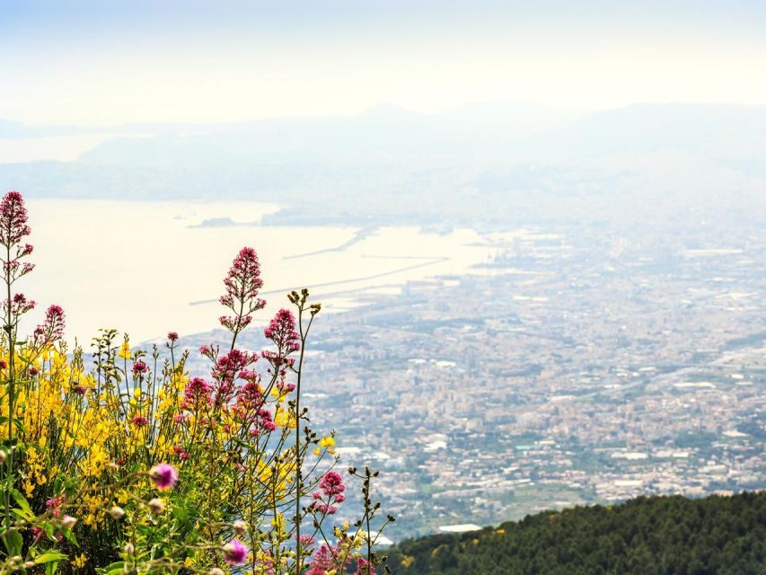 From Naples: Mount Vesuvius Transfer with Entry Tickets - Guide Options at the Volcano: What You Might Learn and What You Should Expect