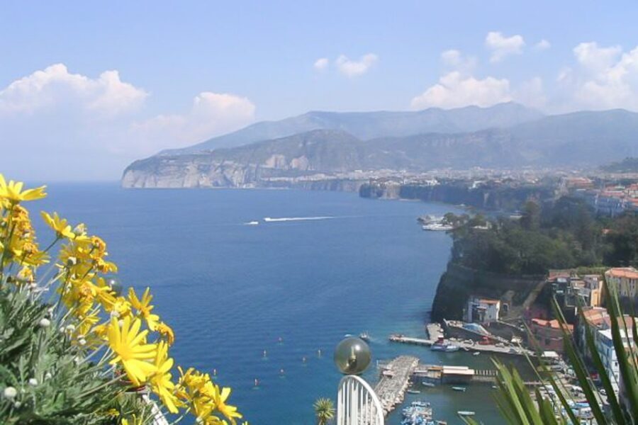 From Naples: Pompeii and Sorrento Full-Day Tour - Forum, Thermal Baths, Lupanar, and House of the Vettii