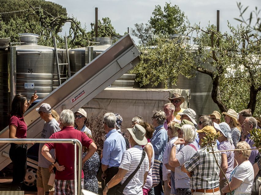 From Naples: Pompeii and Wine Tasting Tour with Lunch - Naples pickup: the part that sets the tone