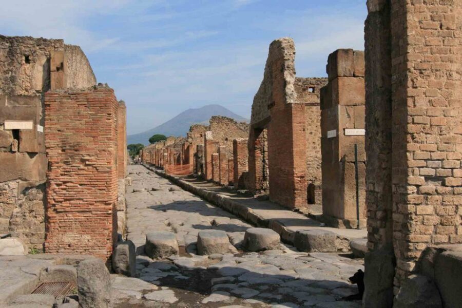 From Naples: Pompeii and Wine Tasting Tour with Lunch - Walking the Vesuvius vineyards: volcanic soil as a flavor story