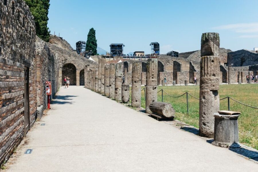 From Naples: Pompeii Ruins & Mount Vesuvius Day Tour - Pompeii and Mount Vesuvius: The value of seeing both