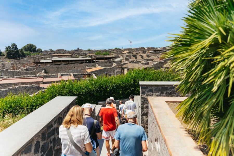 From Naples: Pompeii Ruins & Mount Vesuvius Day Tour - What could be annoying? The realistic drawbacks
