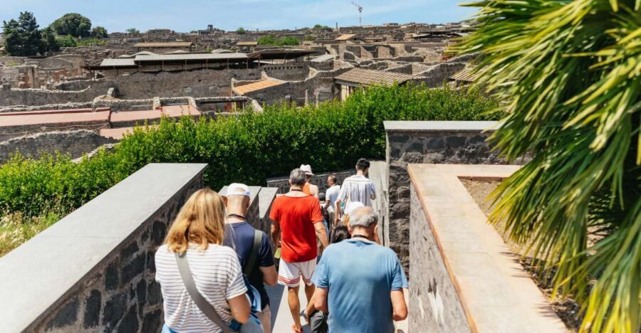 From Naples: Pompeii Ruins & Mount Vesuvius Day Tour - Value check: what you’re really paying for