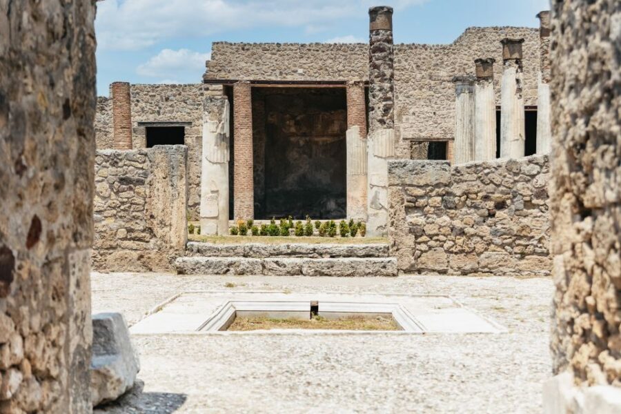 From Naples: Pompeii Ruins & Mount Vesuvius Day Tour - Who this tour suits best