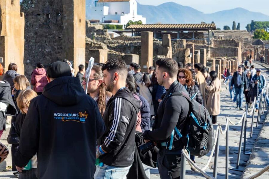 From Naples: Pompeii Skip-the-Line Entry Ticket and Tour - Key highlights to know before you go