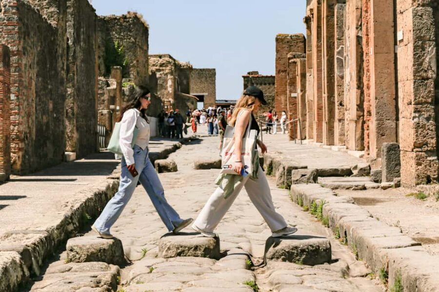 From Naples: Pompeii Skip-the-Line Guided Tour - House of the Faun and the Alexander Mosaic: art as status