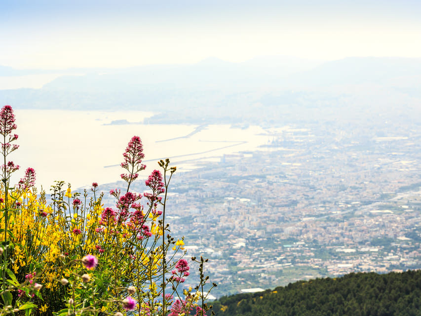 From Naples Port: Vesuvius and Pompeii Tour with Tickets - Pompeii Archaeological Park: audio guide freedom with real sights