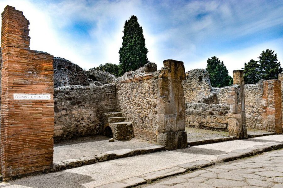 From Naples: Ruins of Pompeii - Price and value: is $59 fair for this kind of day?