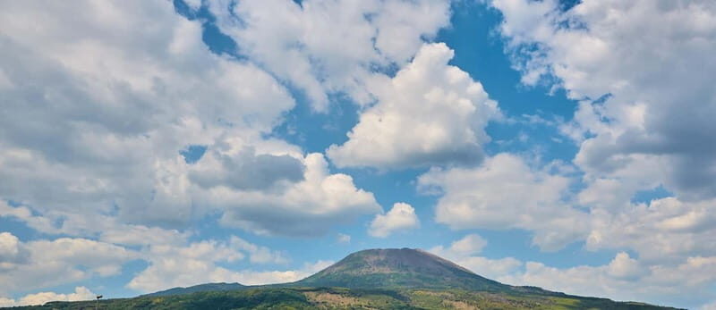 From Naples: Vesuvius Easy Tour - Meeting point reality: find the bus fast