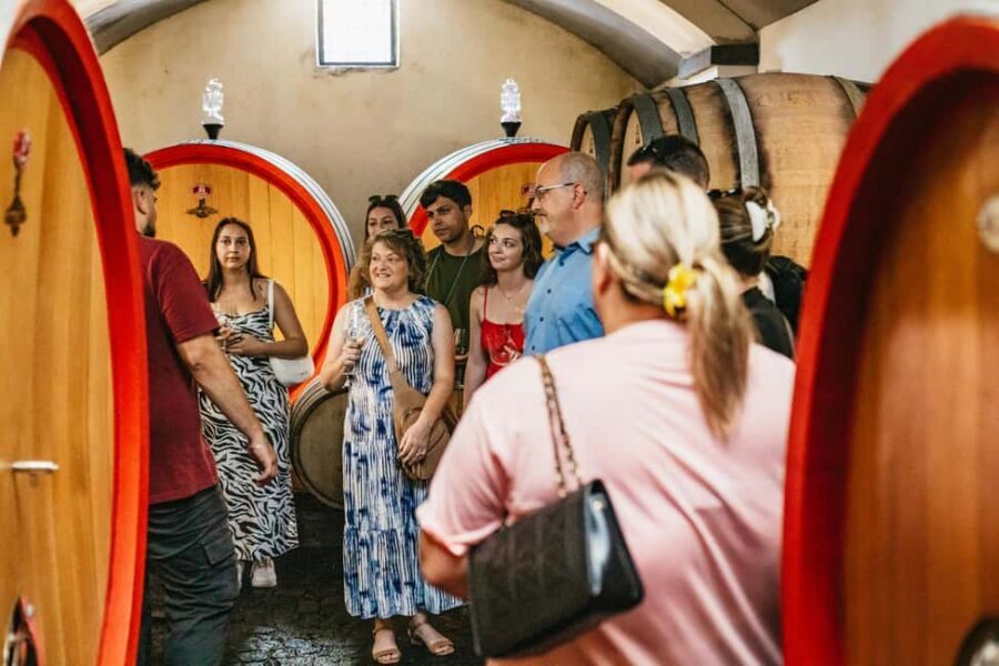 From Naples: Wine Tasting Tour on Vesuvius Slopes with Lunch - What you’ll taste: Falanghina, Lacryma Christi, Aglianico and more