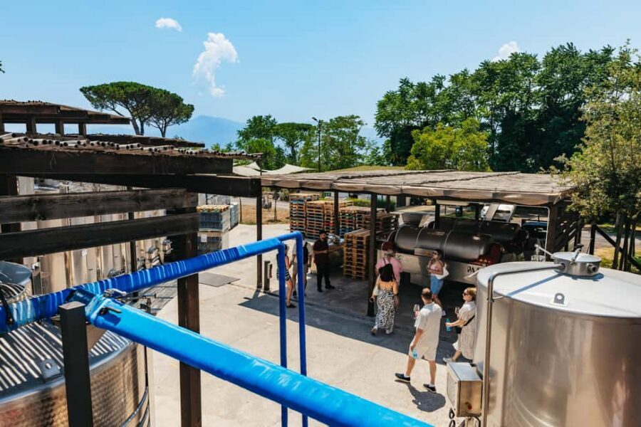 From Naples: Wine Tasting Tour on Vesuvius Slopes with Lunch - The views of Naples and Sorrento: where the photos happen