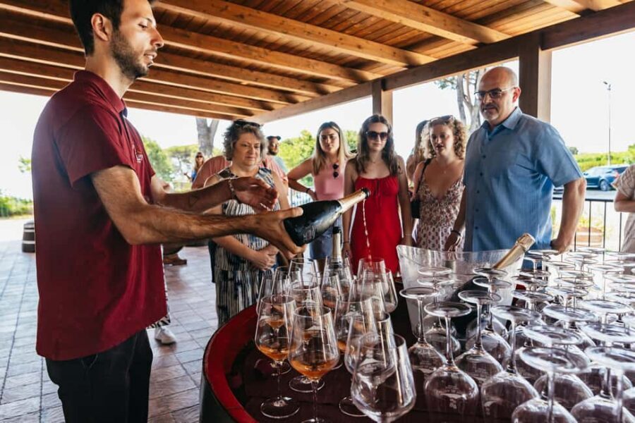 From Naples: Wine Tasting Tour on Vesuvius Slopes with Lunch - Small-group feel and the pace: who this tour is best for