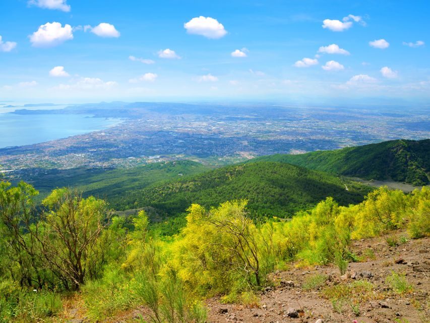 From Pompeii: Bus Transfer to Vesuvius with Park Entry Fee - Pompeii to Vesuvius, made easy (and why that matters)