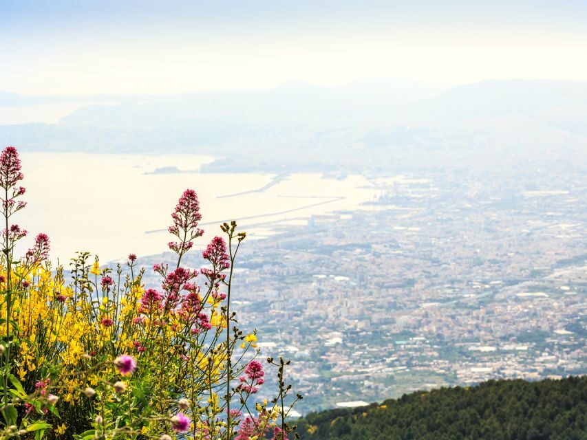 From Pompeii: Bus Transfer to Vesuvius with Park Entry Fee - The ride up: comfy seats, narrow roads, and real elevation gains