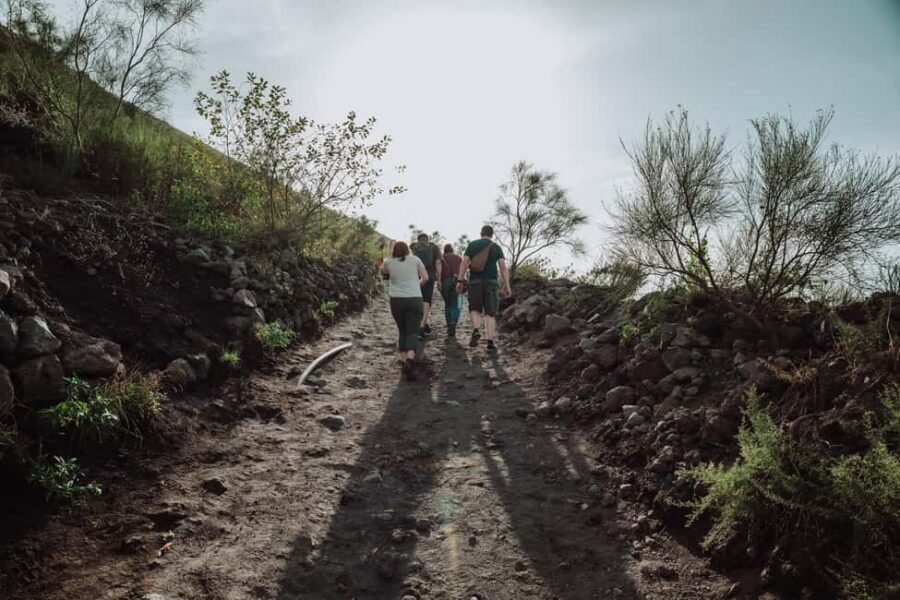 From Pompeii: Mount Vesuvius Guided Tour with Transfer - Views over Naples and the Sorrento coast: timing, weather, and photo reality