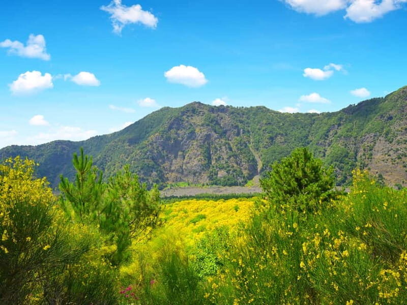 From Pompeii: Mt. Vesuvius Hike & Tour by Bus - Getting from Pompeii by deluxe minibus (and why the timing matters)