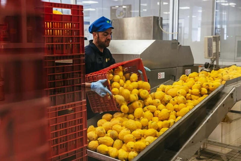 From Rome: Day Trip to Pompeii and Sorrento with Lunch - The Drive to Pompeii: Wi‑Fi That Keeps You Connected