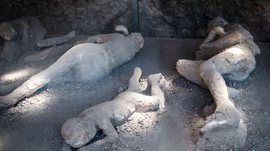 From Rome: Pompeii and Naples Day Trip by High-Speed Train - The pizza stop in Pompeii’s orbit: food as a payoff