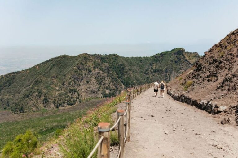From Rome: Pompeii Day Trip with Optional Vesuvius and Lunch - Pompeii with a real guide: what you’ll actually get in 2 hours