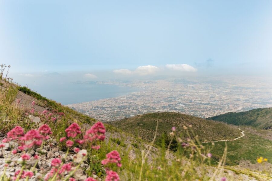 From Rome: Pompeii Day Trip with Optional Vesuvius and Lunch - Value check: why $88 can work (and where you might want extras)