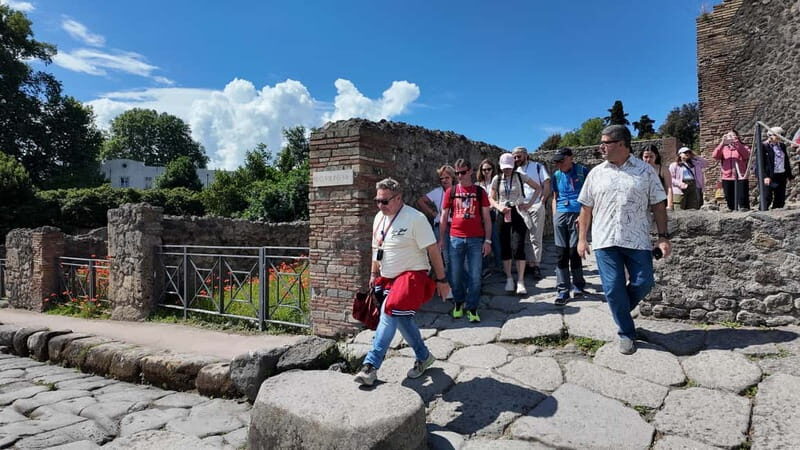 From Rome: Pompeii Ruins Tour with Expert Guide & Fast Train - Pace, Weather, and Practical Tips That Save the Day