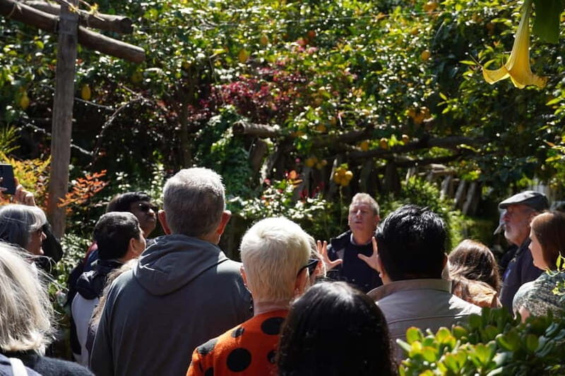 From Rome: Sorrento & Pompeii Day Trip with Guide or Ticket - Key highlights worth planning for