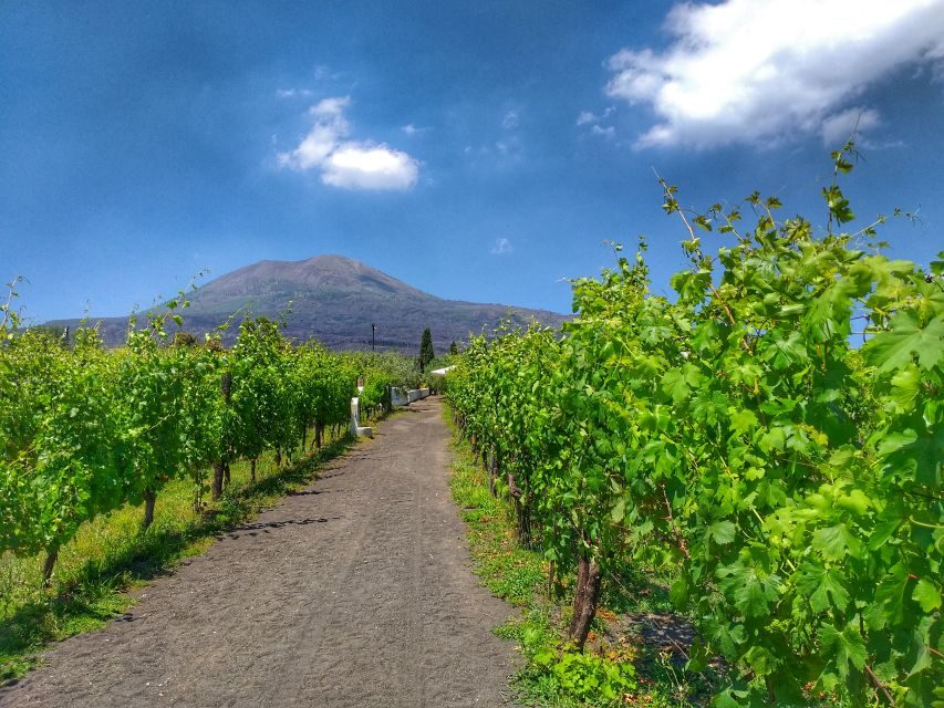 From Sorrento: Mount Vesuvius Tour with Lunch & Wine Tasting - From Sorrento to Vesuvius: the coach ride that sets expectations