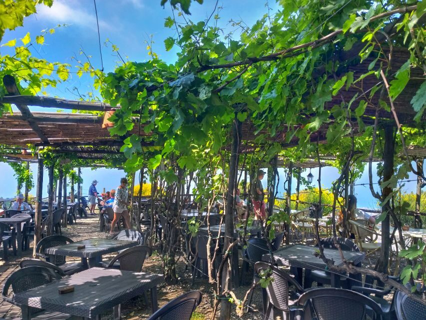 From Sorrento: Mount Vesuvius Tour with Lunch & Wine Tasting - Price and value check: does $115.55 make sense?