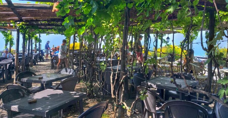 From Sorrento: Mount Vesuvius Tour with Lunch & Wine Tasting - The walk to the crater rim: doable, but not “flat and easy”