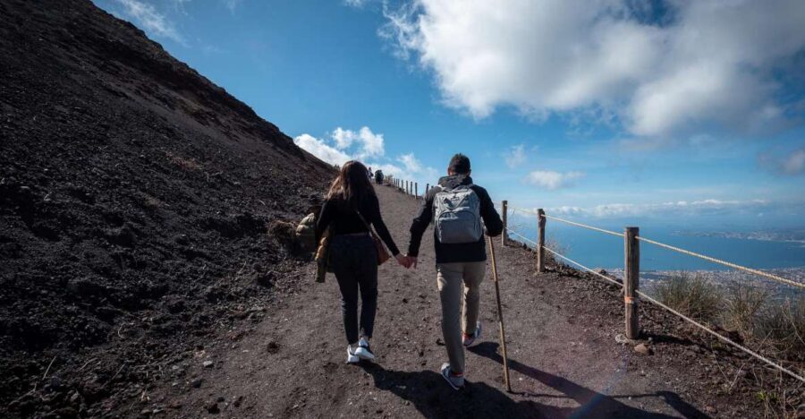 From Sorrento: Pompeii and Vesuvius Guided Tour with Lunch - Who should book this (and who might not)
