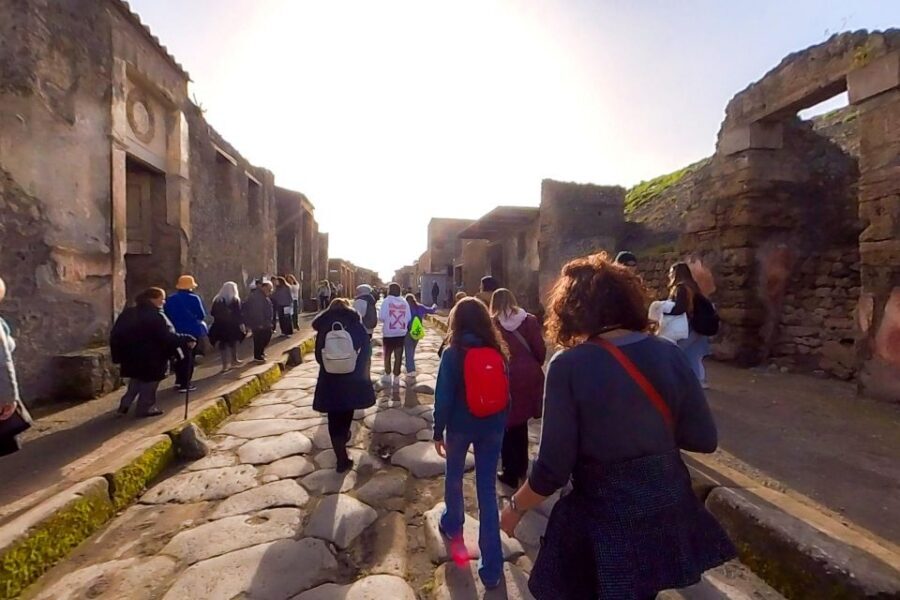 From Sorrento: Pompeii and Vesuvius Guided Tour with Lunch - How hard is it: walking, footwear, and time pressure