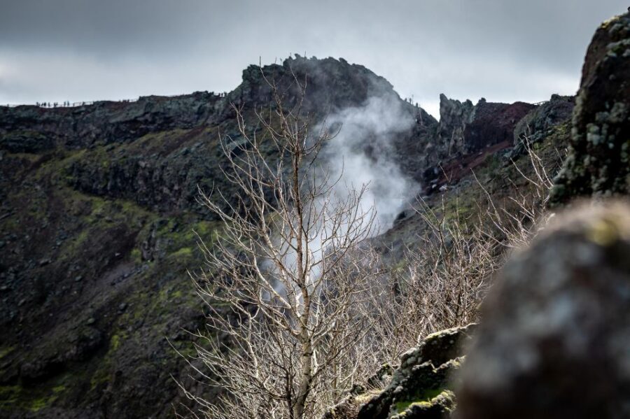 From Sorrento: Pompeii and Vesuvius Guided Tour with Lunch - Price and value: what you really get for about $130