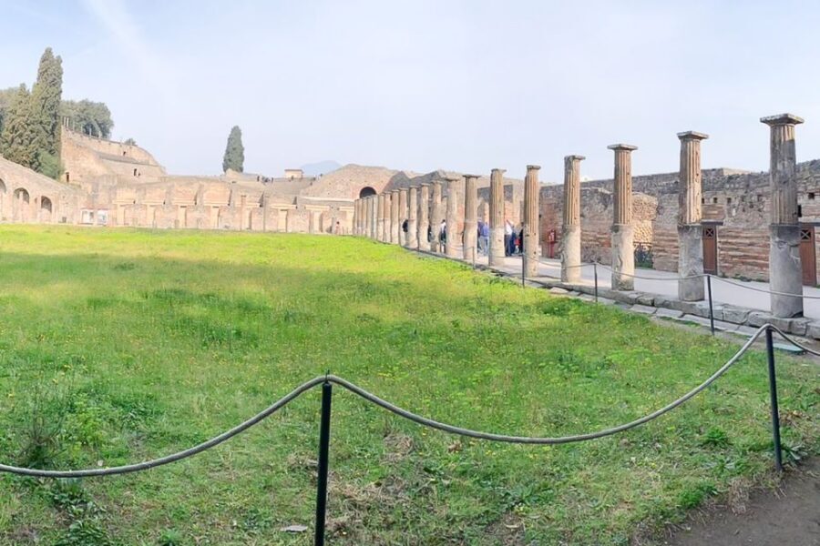 From Sorrento: Pompeii and Vesuvius Tour - Timing and Pace: What You Gain and What You’ll Wish For